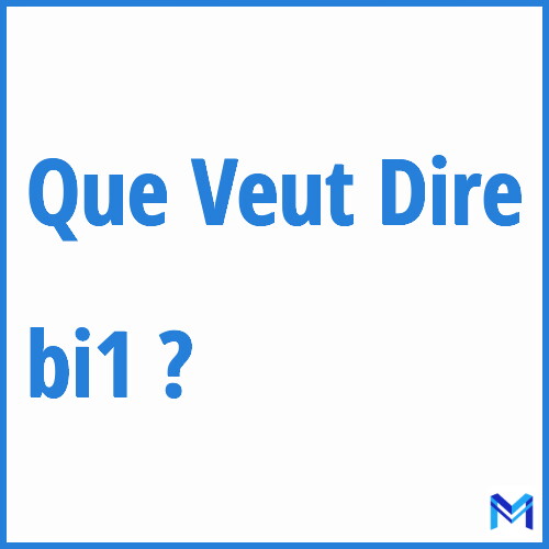 Que signifie ”bi1” ?
